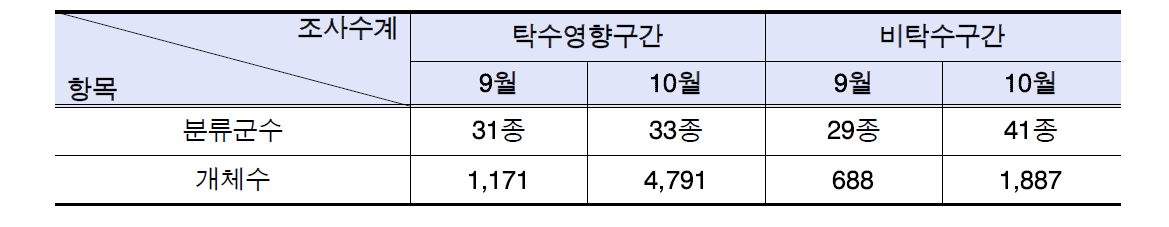 탁수구간과 비탁수구간의 월별 종수 및 개체수