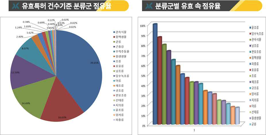 유효특허 건수기준 점유율 및 유효 속 점유율