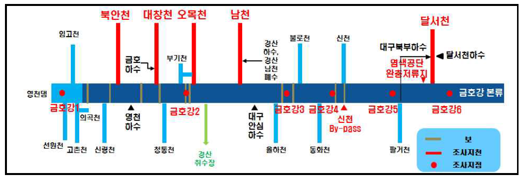 조사지점 모식도