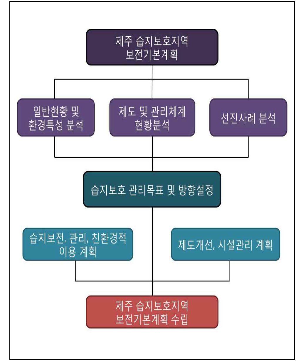 연구수행 모식도