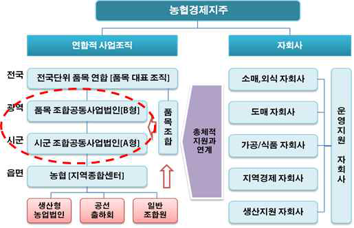 2020년 농협 경제사업 체계