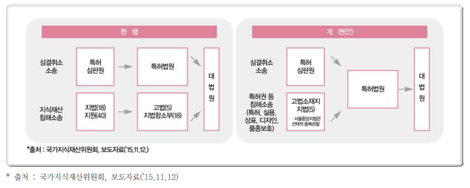 특허권 등 지식재산권 소송의 관할집중 제도