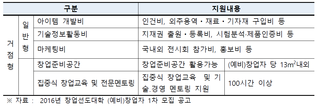 창업선도대학 지원기업 지원내용