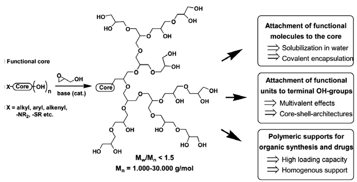 하이퍼브렌치 폴리글리세롤 (Hyperbranched polyglycerol: 합성 및 선택적 활용