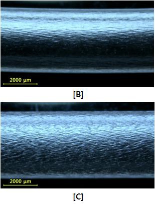 Die 방향 공기분사에 의한 튜브[B] 및 튜브[C] 표면에 형성된 미세돌기 모습