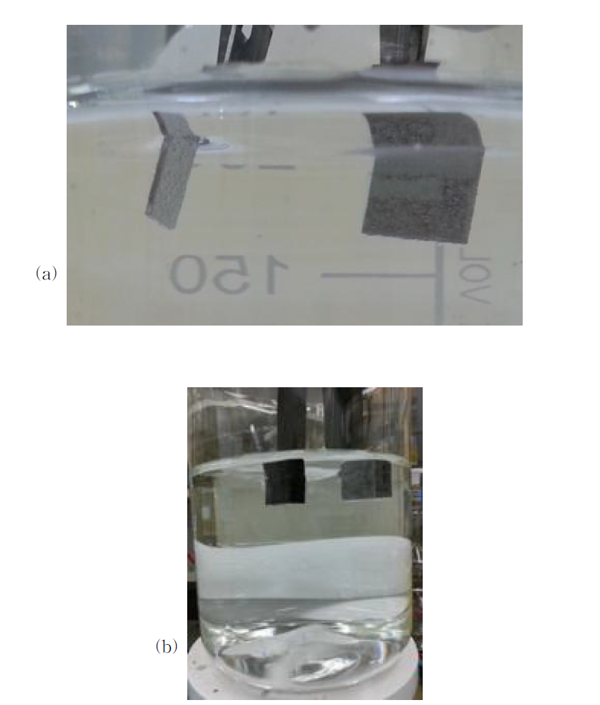 (a) 백금전극, (b) 탄소전극의 전기분해 모습