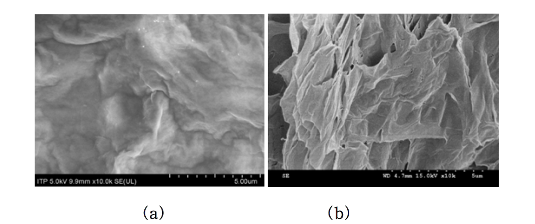 그래핀 옥사이드 페이퍼(a), 그래핀 페이퍼(b)의 SEM 이미지