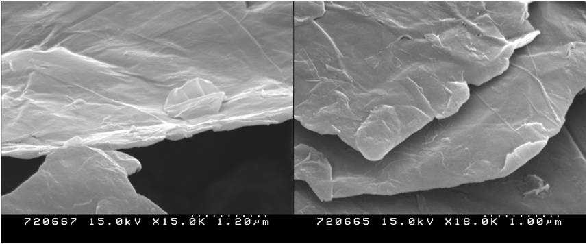 그래핀의 SEM 이미지.