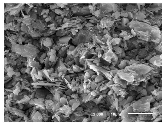1200 ℃에서 소결된 납석 분리막의 SEM 미세구조 사진