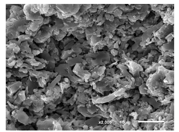 1300 ℃에서 소결된 납석 분리막의 SEM 미세구조 사진