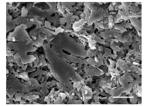 1400 ℃에서 소결된 납석 분리막의 SEM 미세구조 사진