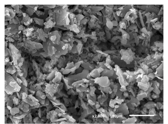 25 wt.% 의 규조토를 함유하고, 1200 ℃에서 소결된 납석-규조토 복합재 분리막의 SEM 미세구조 사진