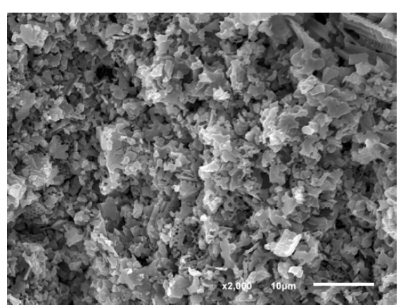 75 wt.% 의 규조토를 함유하고, 1200 ℃에서 소결된 납석-규조토 복합재 분리막의 SEM 미세구조 사진
