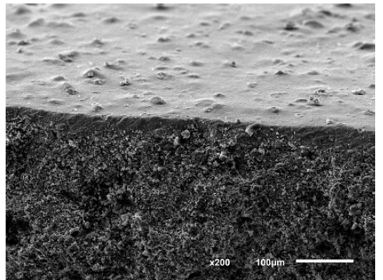 알루미나가 약 20 ㎛ 내외로 코팅 된 후의 납석-규조토 복합재 지지체의 SEM 미세구조 사진