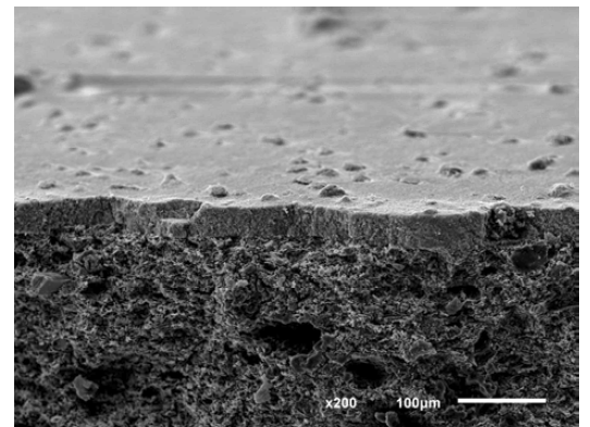 알루미나가 약 40 ㎛ 내외로 코팅 된 후의 납석-규조토 복합재 지지체의 SEM 미세구조 사진