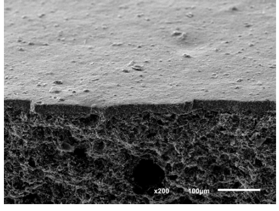 알루미나가 약 40 ㎛ 내외로 코팅 된 후의 납석-규조토 복합재 지지체의 SEM 미세구조 사진
