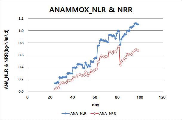 ANAMMOX조 NLR(유입질소용적부하) 및 NRR(질소제거속도)