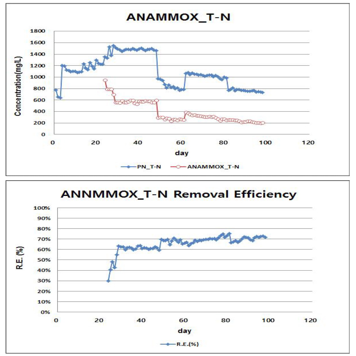 ANAMMOX조 T-N농도(A) 및 T-N제거효율(B)