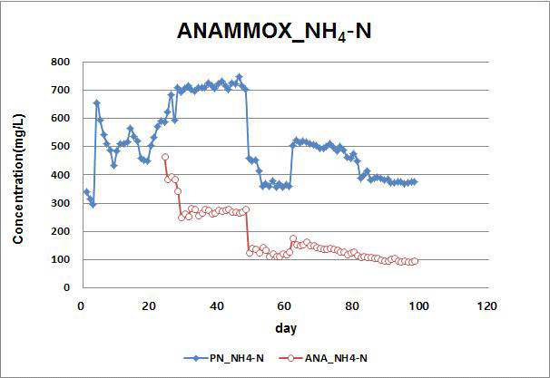 ANAMMOX반응에 의한 NH4-N의 제거