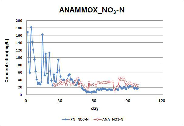 ANAMMOX반응에 의한 NO3-N의 생성