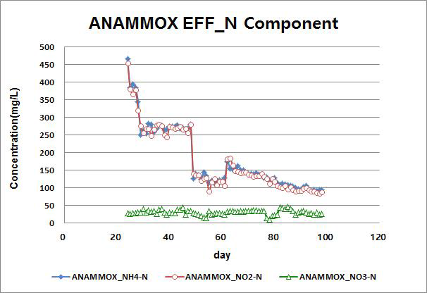 ANAMMOX 처리수의 NH4-N, NO2-N, NO3-N