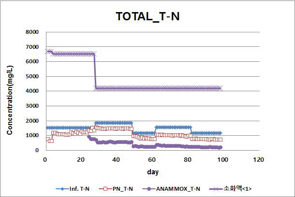 Pilot 공정별 T-N농도 변화
