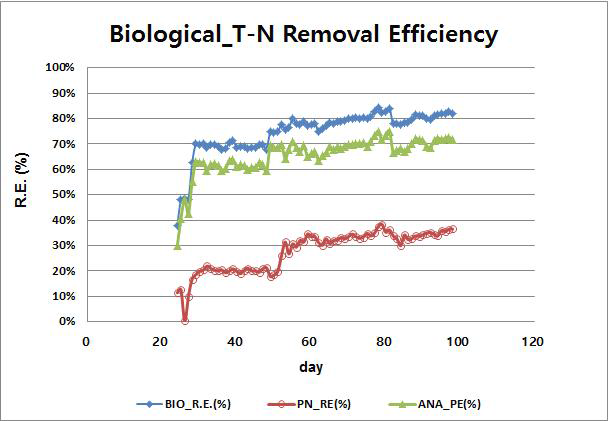 Pilot 생물학적 공정 T-N 제거효율