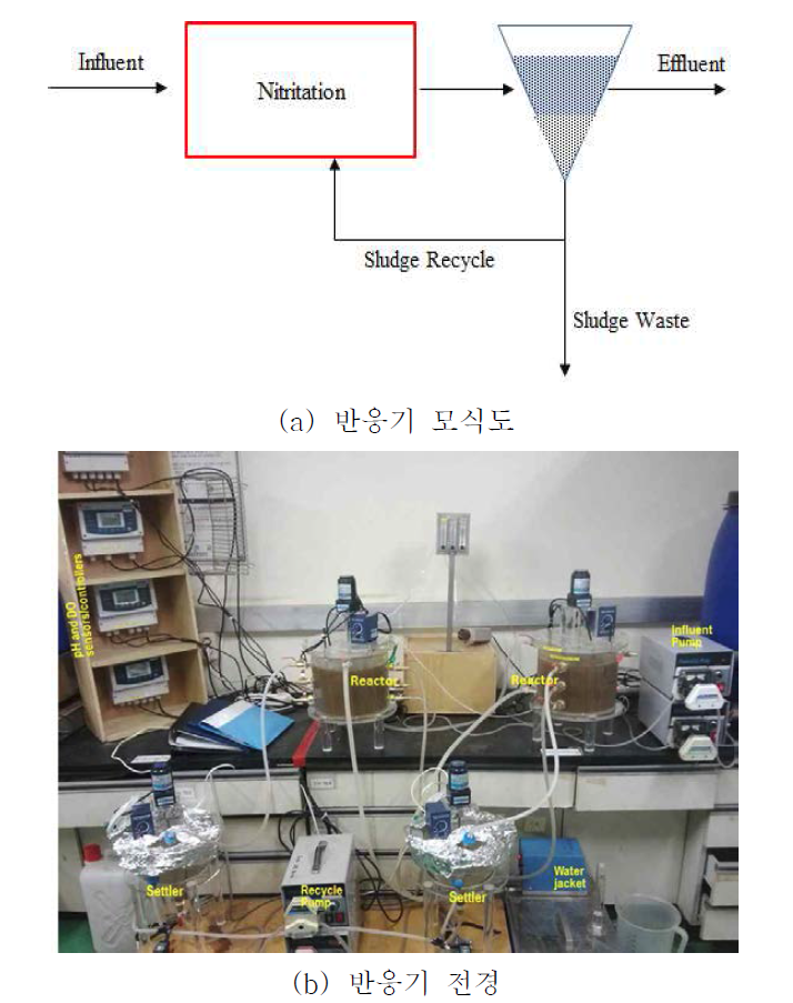 Lab scale 반응기 모식도 및 전경