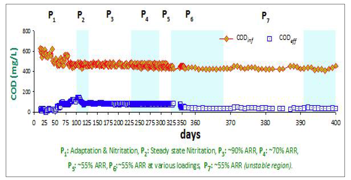 STP 반응기의 유입수 및 유출수 COD 일변화