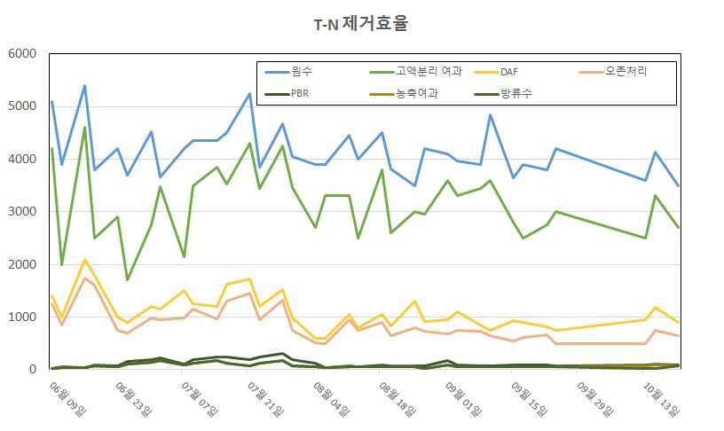 파일롯 운전기간동안의 공정별 T-N 제거효율