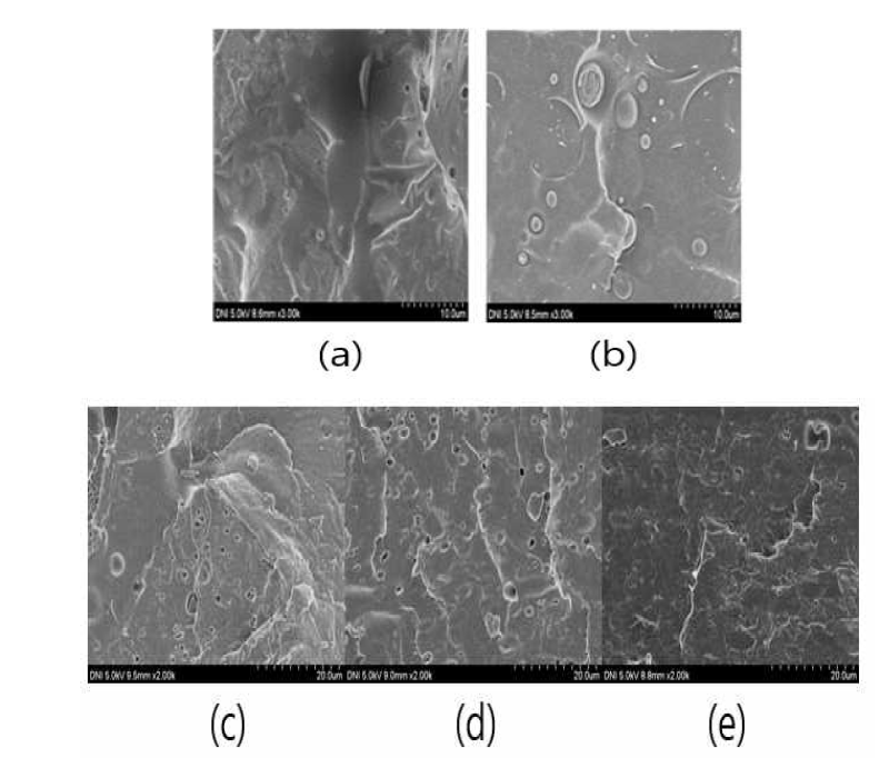 SEM images of PLA/PBAT blends