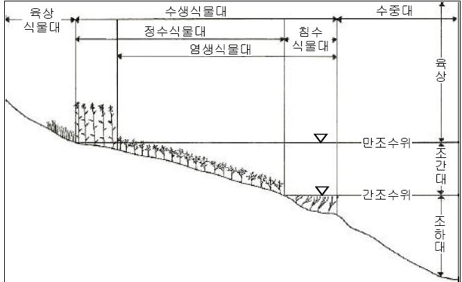 연안습지의 일반적인 형태