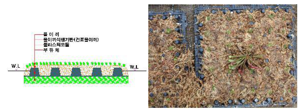 1차 제작된 부유형 물이끼 이탄습지모듈