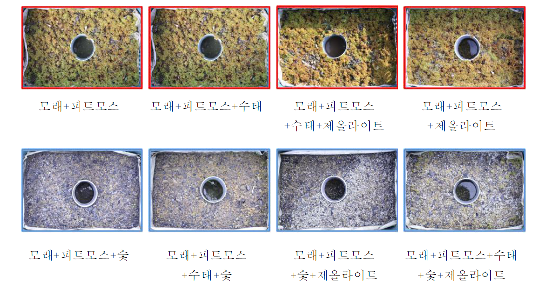 각 실험구별 물이끼 생육상태(조성후 5개월 경과)