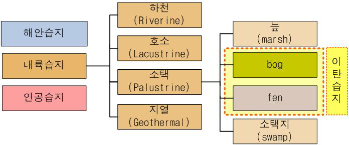 습지의 유형 분류