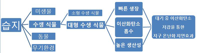 습지를 이용한 대기 중의 이산화탄소 저감과정 요약도