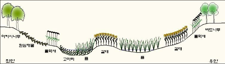 문발유수지 Test-bed Site 1 조사지점 1차조사 식생단면도