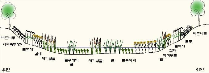 문발유수지 Test-bed Site 3 조사지점 1차조사 식생단면도