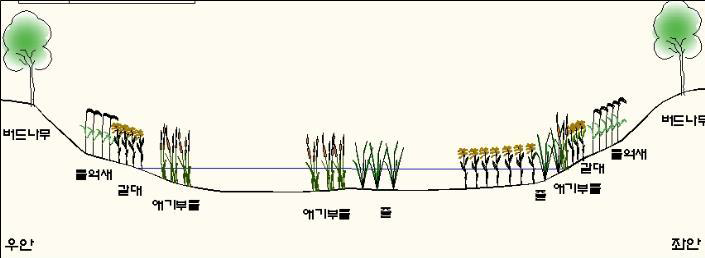 문발유수지 Test-bed Site 3 조사지점 2차조사 식생단면도