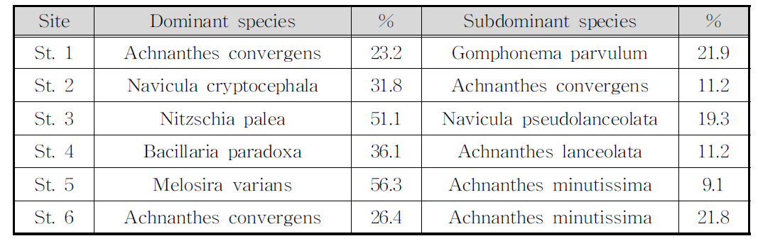 부착규조류의 우점종 및 아우점종(2차, 2010년 11월)