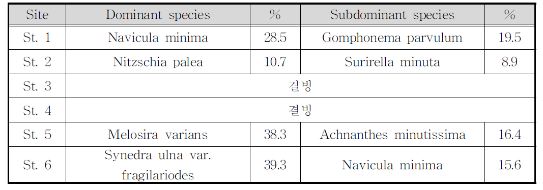 부착규조류의 우점종 및 아우점종(3차, 2010년 2월)