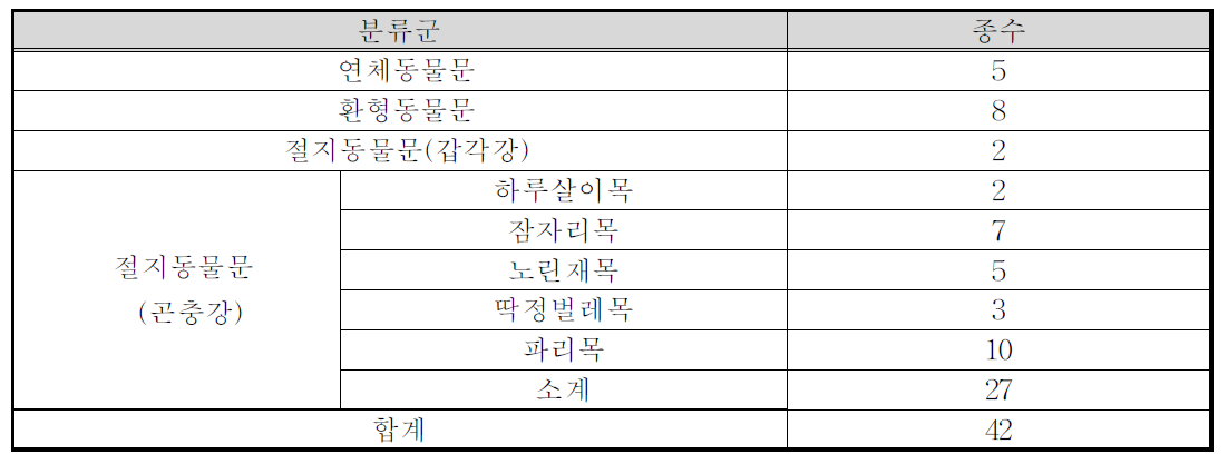 저서성대형무척추동물 1차조사의 분류군별 종수