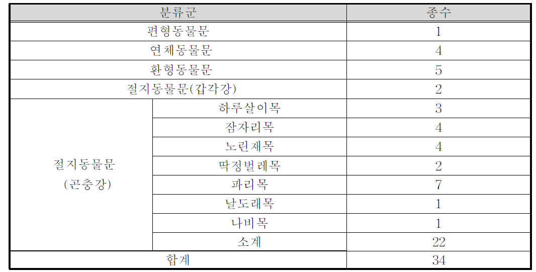 저서성대형무척추동물 2차조사의 분류군별 종수