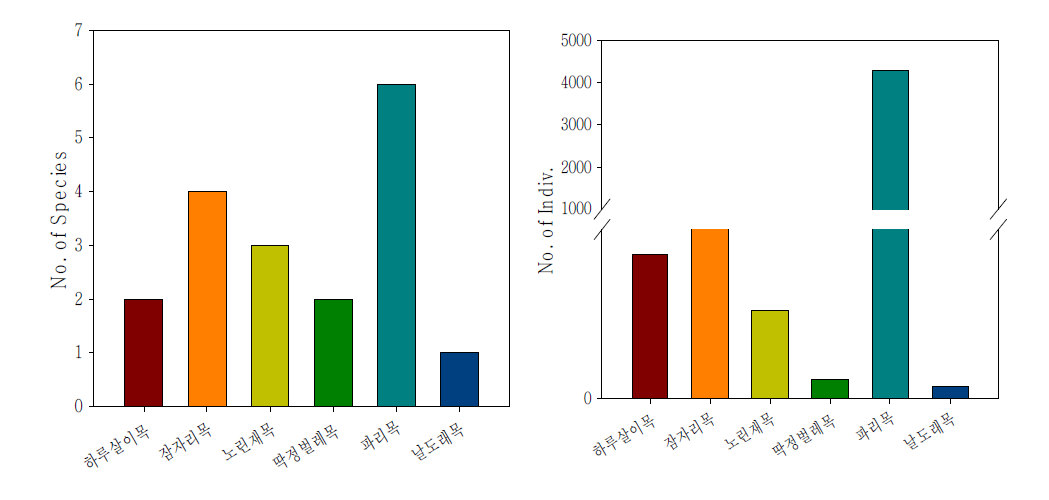 조사수역에서 확인된 수서곤충 종수 구성비(좌) 및 개체수 구성비(우)