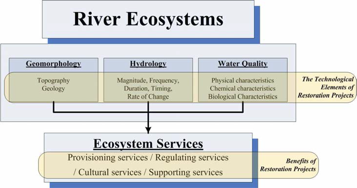 수생태계의 구조와 생태계 서비스