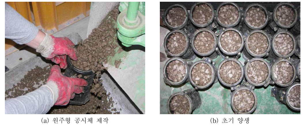 섬유혼합 다공성 소일 블록의 원주형 공시체 제작 및 초기 양생