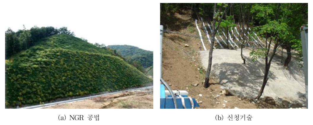 NGR공법과 연속섬유보강토를 활용한 식생호안 조성기술 비교