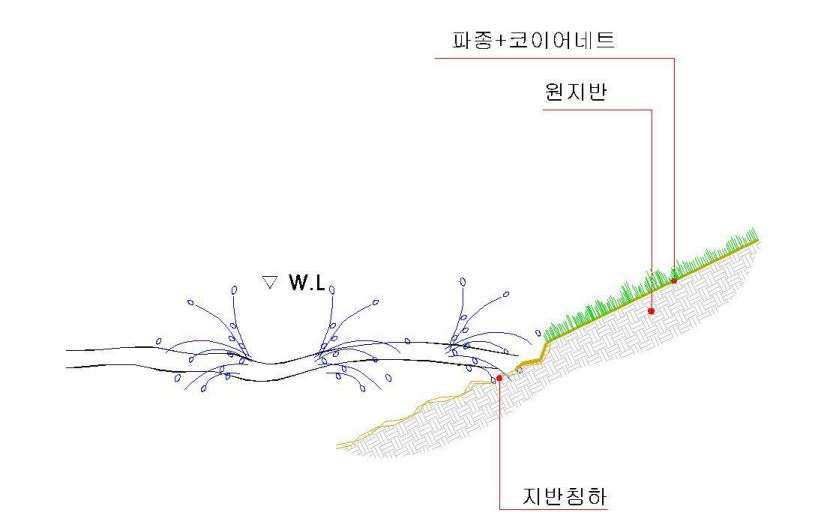 코이어네트에 파종을 이용한 호안녹화 공법시 지반침하