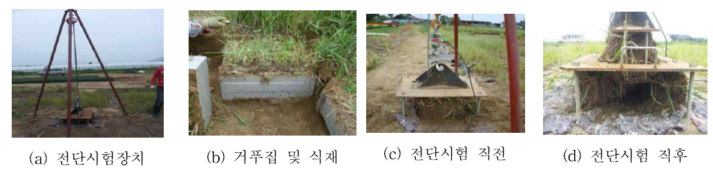 전단시험기 및 거푸집