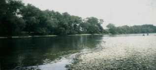 정비 후의 Reuss 강의 모습